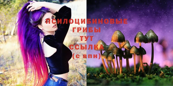 ALPHA PVP Нефтекумск