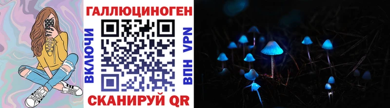 Галлюциногенные грибы мицелий  цены наркотик  Шимановск 